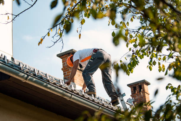 Best Roof Maintenance Services  in Sparta, MI