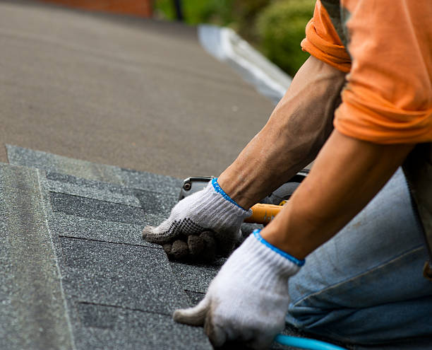 Best Roof Leak Repair  in Sparta, MI