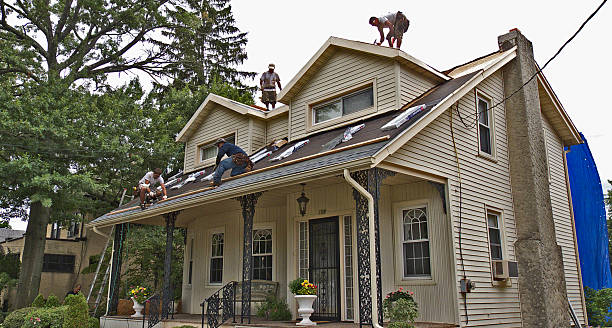 Best New Roof Installation  in Sparta, MI