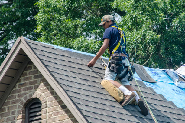 Best Emergency Roof Repair  in Sparta, MI